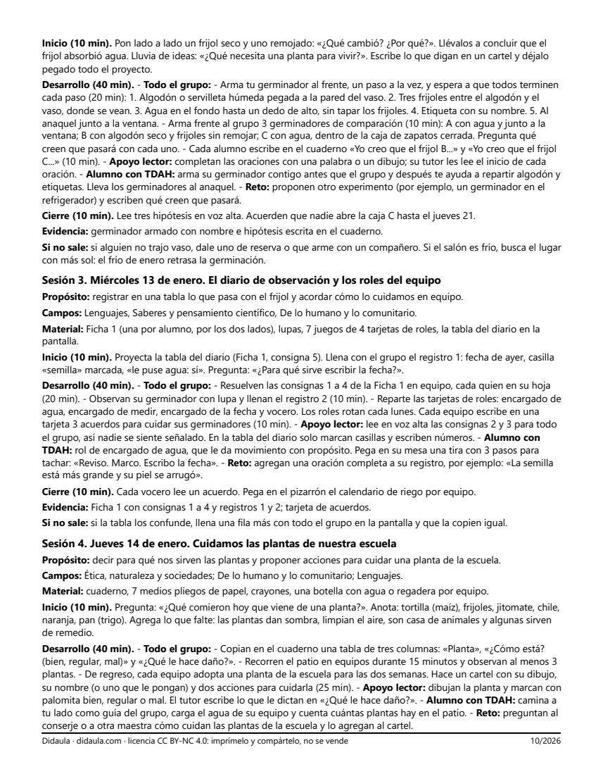 Página 3 de Mi frijol crece: las plantas, cómo las describimos y cómo medimos su crecimiento