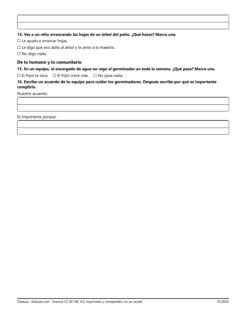 Página 3 de Examen de cierre: Mi frijol crece